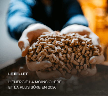 LE PELLET EST L'UNE DES ÉNERGIES LA MOINS CHÈRE ET LA PLUS SÛRE

Dans un contexte international toujours plus incertain, où les prix du gaz, du fioul et de l'électricité restent fortement dépendants des tensions géopolitiques, de nombreux foyers recherchent une solution de chauffage à la fois stable, économique et durable. 
Le pellet, ou granulé de bois, s'impose en 2026 comme l'une des énergies les plus fiables et les plus abordables. 
Produite localement, peu soumise aux aléas des marchés mondiaux et issue d'une ressource renouvelable, elle permet de maîtriser son budget chauffage tout en limitant son empreinte écologique. 
Dans cet article, on vous explique pourquoi le pellet constitue aujourd'hui une alternative sérieuse aux énergies fossiles et comment il peut vous permettre de vous chauffer l'esprit tranquille, sur le long terme.
Plus d'infos sur : https://www.rika.fr/blog/le-pellet-lenergie-la-plus-sure-et-la-moins-chere-en-2026